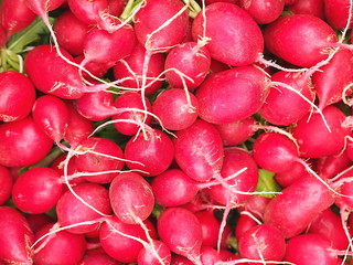 Pile of fresh red raidishes at farmers market in Prague. 
