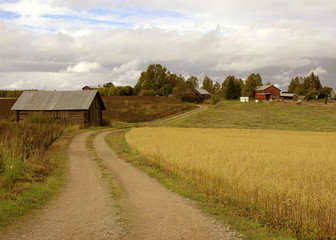 dorgu to the farm through the field