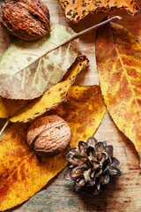 Autumn background with nuts and red and yellow leaves, selective