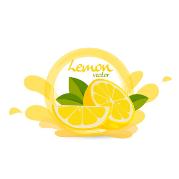 fresh lemon vector