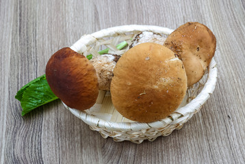 Wild Mushrooms