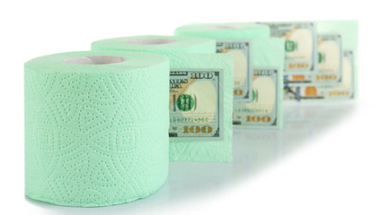 Light green rolls of toilet paper and dollar banknotes on light background