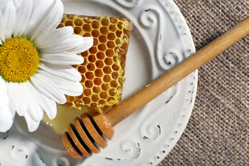Honeycomb, dipper and chamomile on white plate on sacking background