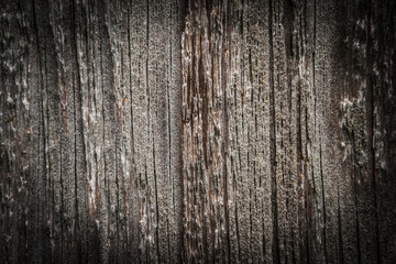 wood texture