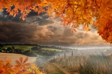 Composite image of autumn leaves