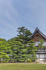 Fototapeta na wymiar Japanese pine trees in front the end wall of a traditional wooden building