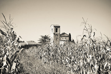 Tuscany Romanesque church immersed in a corn field © Francesco Scatena
