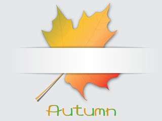 Obraz premium Autumn maple leaf paper cut background