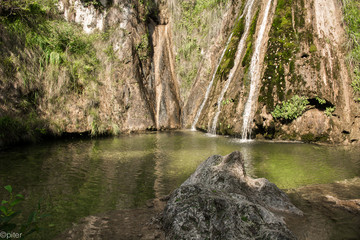 Buche di nese