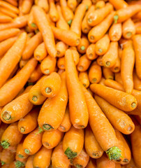 Carrots on the supermarket display