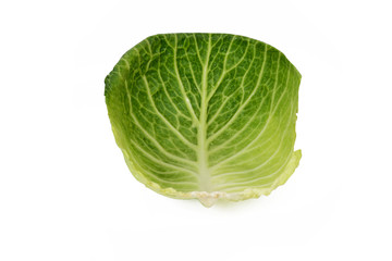 Obraz premium Weißkohl