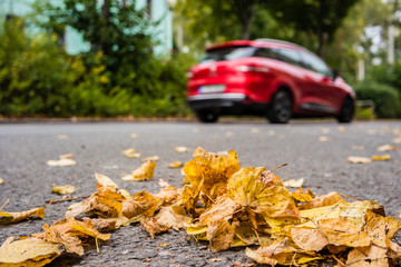 Gefahr im Herbst 