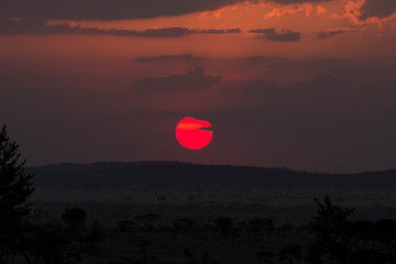 Sunset in Serengeti