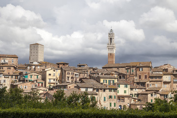Fototapeta na wymiar Sienna, Torre del Mangia (Palazzo Pubblico) at the Piazza del Campo, Tuscany, Italy, Europe
