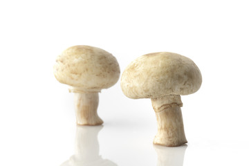 Two Button Mushroom On White Background Shot in Studio