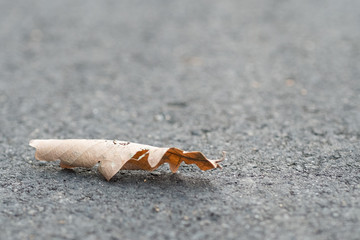 Vertrocknetes Blatt auf geteerten Weg