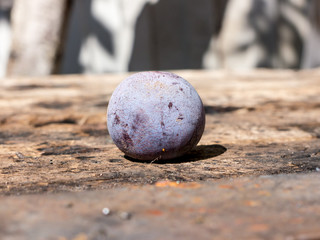 Plum object.