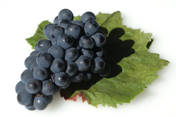 Syrah, Rotwein, Rote, Weintrauben, Weintraube,