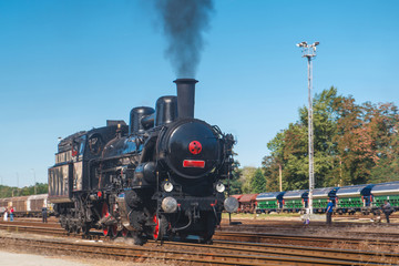 Obraz premium Steam Train