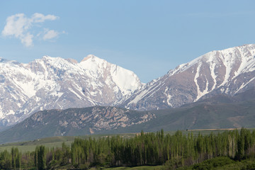 Fototapeta premium the snowy peaks of the Tien Shan Mountains. Kazakhstan