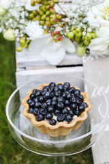 Blueberry tart, garden party