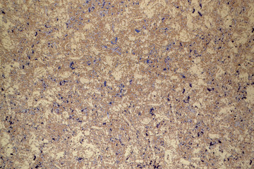 Wallpaper texture