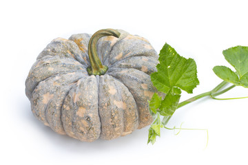 thai pumpkin and leaves on white background