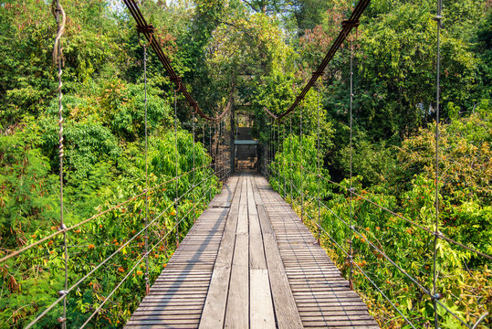 Suspension bridge across a stream in the jungle