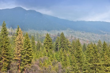 Sequoia National Forest