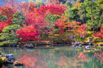 Panele Szklane  Ogród japoński w okresie jesiennym