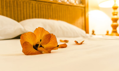 Maldivian flower petals on the bed in the bedroom.