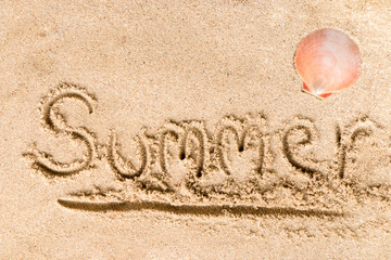 Summer text write on sand at the beach with shell, Summer concept.