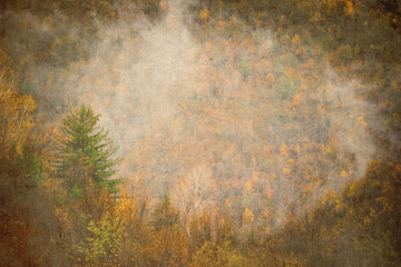 autumn forest retro grunge background