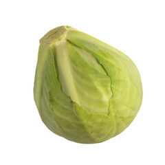 Whole green cabbage isolated on white