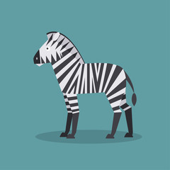 Zebra. Vector Illustration