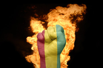 fire fist with the national flag of guinea
