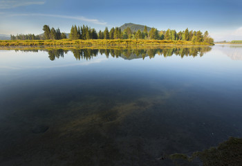 Reflections of pine forest on mirror surface of Snake River, Wyo