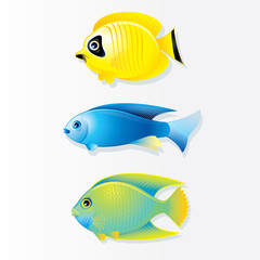 Cartoon Coral reef Fish. Vector Image