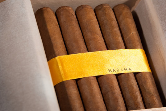 Cuban cigars in box