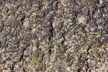 Background from the old brown stone