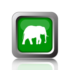 Elephant icon