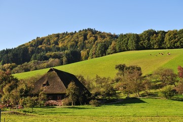 Fototapeta na wymiar Black Forest Landscape near Glottertal and Freiburg with Flammhof