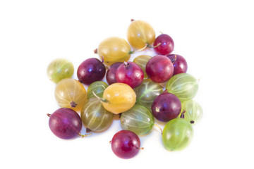 Ribes uva-crispa isolated