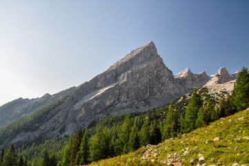 Naklejka premium Stunning summer shot of 
