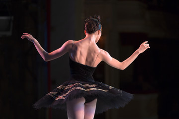 Prima ballerina dancing 