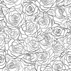 beautiful black and white seamless pattern in roses with contours.