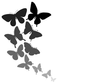 background with a border of butterflies flying
