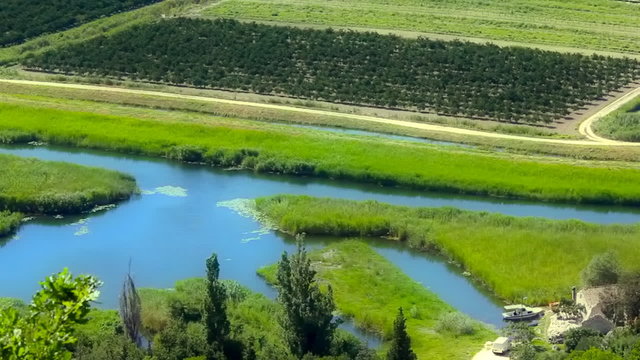 Field planted with fruit and vegetables