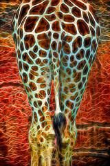 Tail of the Giraffe Abstract Neon