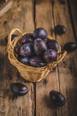 Freshly picked and washed plums